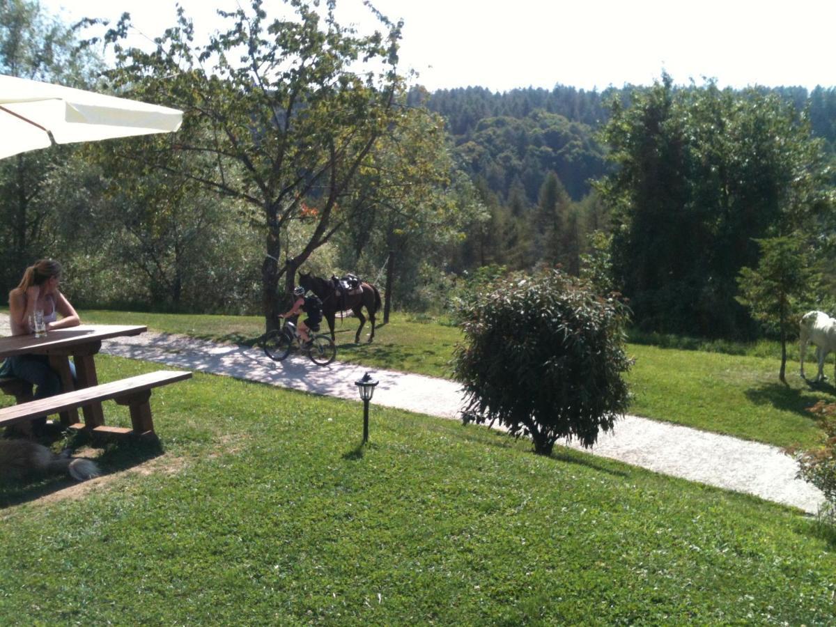 Casa rural Trentino In Malga: Malga Zanga *