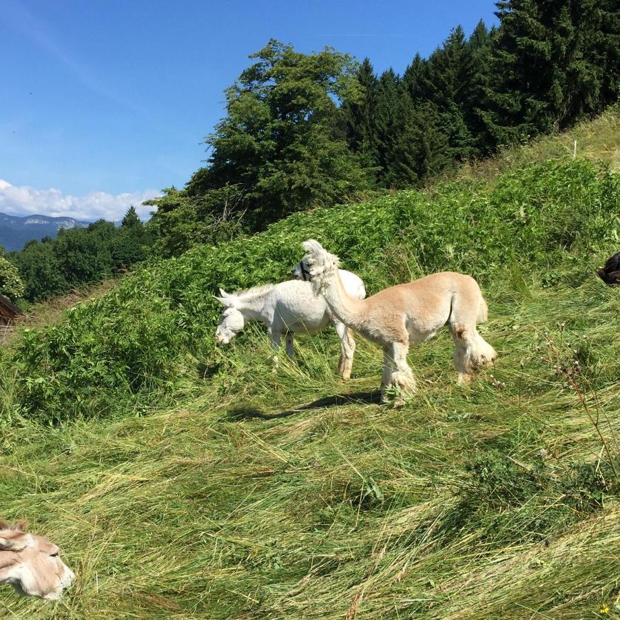 Trentino In Malga: Malga Zanga Country house