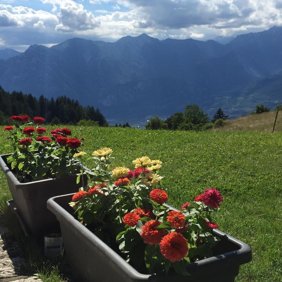 Country house Trentino In Malga: Malga Zanga Arco